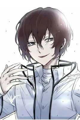 Пин от пользователя Arahabaki на доске Dazai x Chuuya BSD | Редкие  заболевания, Бешеные псы, Аниме