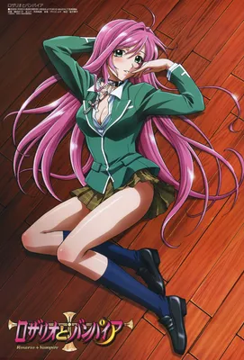 Rosario to Vampire / Аниме