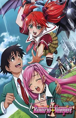 Rosario to Vampire Capu2 / Аниме