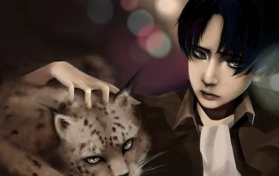 Обои для рабочего стола Вторжение гигантов рысь Levi Ackerman Аниме