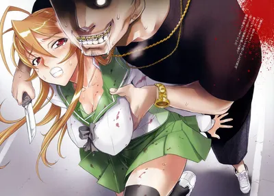 Highschool of the Dead / Аниме