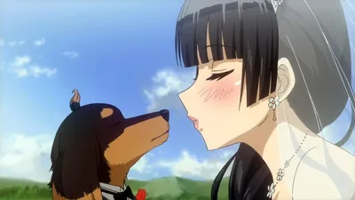 Шиба ину собака в аниме стиле на…» — создано в Шедевруме