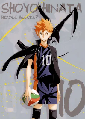 Шоё Хината | Haikyuu!! вики | Fandom