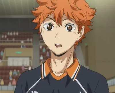 Shouyou Hinata | Haikyuu wallpaper, Haikyuu anime, Haikyuu karasuno