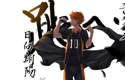 Фото Hinata Shouyou / Хината Шое из аниме Haikyuu! / Волейбол, middle  blocker, art by Haruichi Furudate