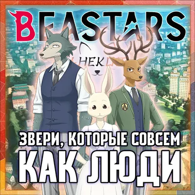 ЗВЕРСКИ хорошая история | Обзор аниме Выдающиеся Звери – Beastars | АНЕКОТ  - Аниме не для всех | Дзен