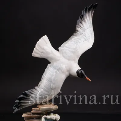Летящая птица - 56 фото