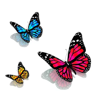 Анимированные бабочки картинки