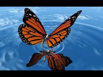 Сказочные бабочки картинки - 58 фото