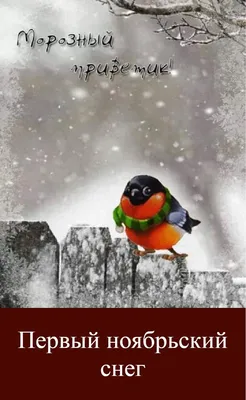 страница 2 | Фото Анимированный пингвин, более 73 000 качественных  бесплатных стоковых фото