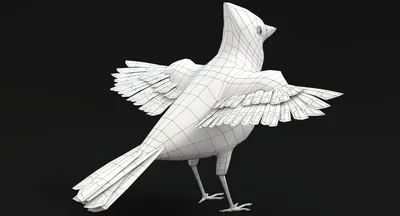 Купить Анимированные пернатые птицы Leiothrix фигурки животных для декора  зоопарка и сада | Joom