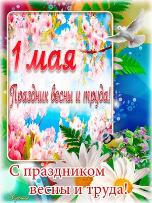 🥀🌸🎈🌿🎀🌿🎈🌸🥀 С 1 МАЯ! | Праздничные открытки, Красочные рамки, 1 мая