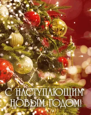 Поздравление со Старым Новым годом 2021 в открытках: лучшие прикольные и  поздравительные открытки для всей родных - ЗНАЙ ЮА