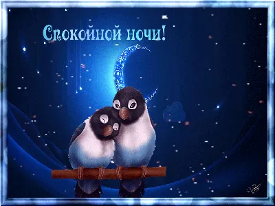 Гифки "Спокойной ночи" - Большая коллекция GIF на ночь