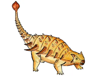 Динозавры. Анкилозавр. Ankylosaurus | Пикабу