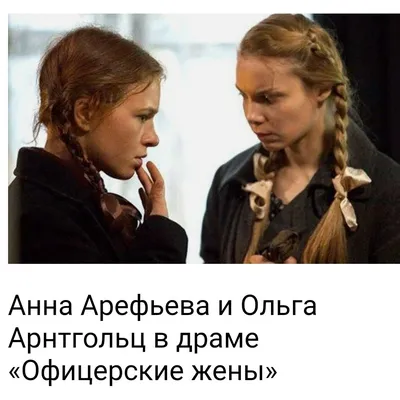 Анна Арефьева - Услуги для животных, Дрессировка животных, Передержка  животных, Ярославль, Ленинский район на Яндекс Услуги