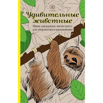 Удивительные животные. Мини-раскраска-антистресс для творчества и  вдохновения (ленивец): заказать книгу по низкой цене в Алматы | Meloman