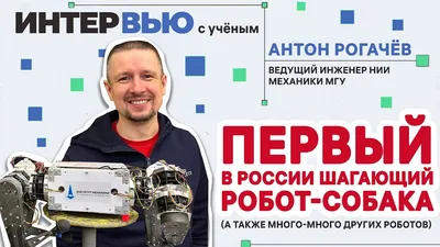 Фаворит - актёр Антон Рогачёв". Илья Авербух рассказал о претендентах на  дуэт с Медведевой в шоу "Ледниковый период". Детали отбора | Газета Жизнь |  Дзен