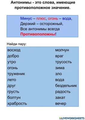 Обучающий плакат А4 "Синонимы, антонимы, омонимы, омофоны" купить недорого  в Москве в интернет-магазине Maxi-Land