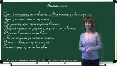 Подходит - не подходит. Игра-лото на антонимы. 5-7 лет - купить книгу с  доставкой в интернет-магазине «Читай-город».