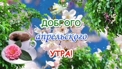 Привет Апрель! С Добрым Апрельским Утром🌞Музыкальная Открытка - YouTube