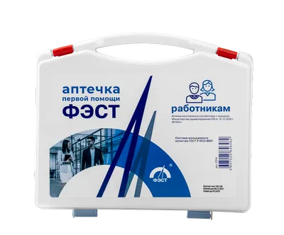 Аптечка первой помощи работникам ФЭСТ по цене 1628 ₽/шт. купить в Москве в  интернет-магазине Леруа Мерлен