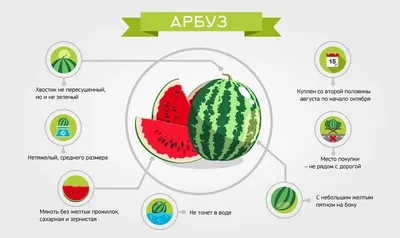Сладость или гадость: как выбрать арбуз и остаться здоровым |  Информационно-аналитический интернет портал  - Новости Югры