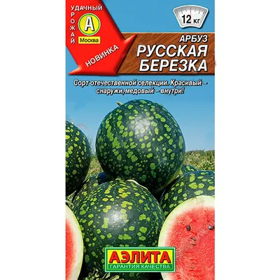 Купить Арбуз Русская березка недорого по цене 33руб.|