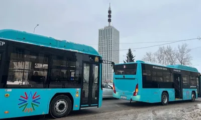 Архангельск (Архангельская область) Что посмотреть