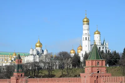 Музей-заповедник «Коломенское»: огромная территория с шедеврами архитектуры  / Мероприятия и выставки / iXBT Live