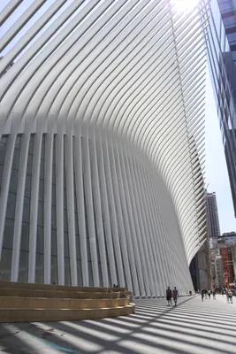 Oculus - архитектура будущего — Нью Йорк Гид