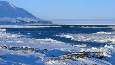 Арктические и антарктические пустыни (54 фото) - 54 фото
