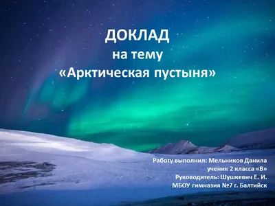 Окружающий мир. Зона арктической пустыни. 1-4 классы: Таблица-плакат  420х297 – купить по цене: 31,50 руб. в интернет-магазине УчМаг