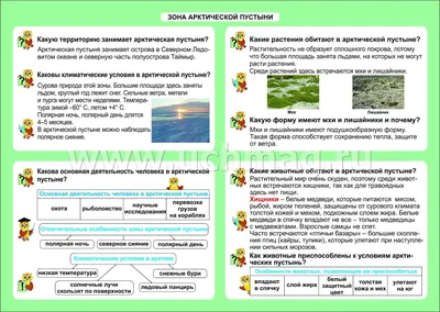 Презентация на тему "Арктическая пустыня" | KitiM | Дзен