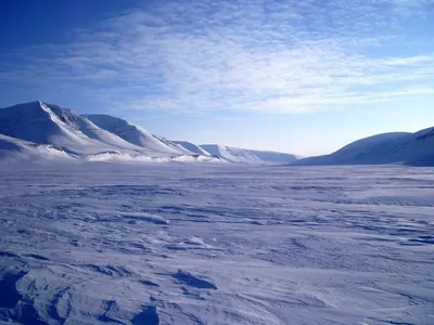 Арктические пустыни - 72 фото