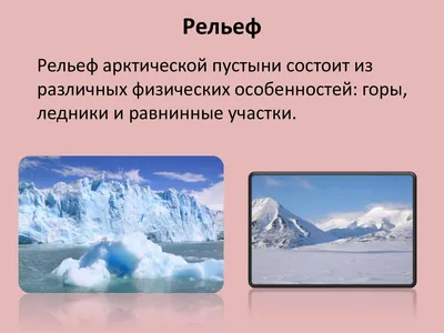 Презентация на тему: "Арктические пустыни Арктическая пустыня («Арктос» в  переводе с греческого медведь) природная зона часть арктического  географического пояса, бассейна Северного.". Скачать бесплатно и без  регистрации.