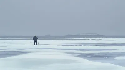 Одна Арктика на всех: коренные народы Арктики в борьбе за коллективные  права на землю и ресурсы | | Новости ООН