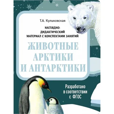 Дидактические карточки «Животные Арктики и Антарктики» - Скачать шаблон |  Раннее развитие