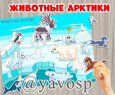 Животные Арктики и Антарктики.Дид.материал (Татьяна Куликовская) - купить  книгу с доставкой в интернет-магазине «Читай-город». ISBN: 978-5-99-511227-3