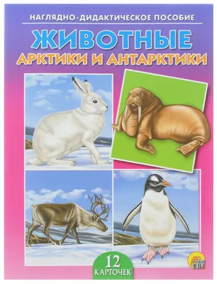 Книга Животный мир Арктики и Антарктики. Жизнь во льдах - купить детской  энциклопедии в интернет-магазинах, цены на Мегамаркет |