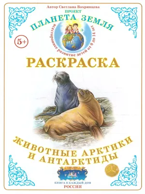 Купить Набор животные Арктики и Антарктики Весна для детских садов и ДОУ по  выгодной цене, доставка по РФ