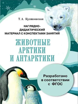 14 Бесплатных Карточек Животные арктики на Русском | PDF