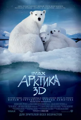 Арктики картинки