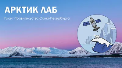 Туры в Арктику 2023-2024 | Цены на арктические круизы и экспедиции