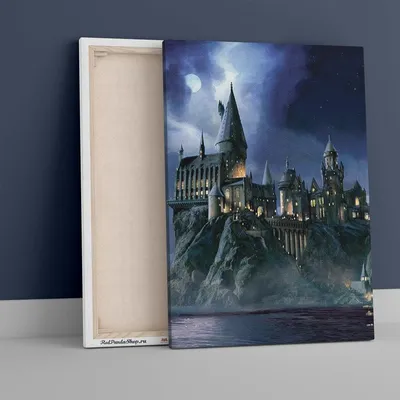 The Art of Harry Potter (Mini Book): Mini Book of Magical Places: Insight  Editions: 9781683837510: : Books