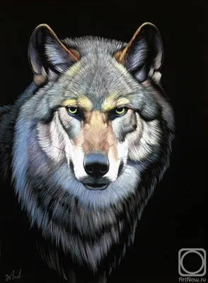 Волк» картина Эбзеева Шахарби (масло) — заказать на 