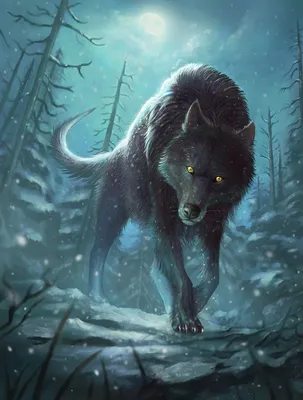 Pin by Nast Wol on Арт сказочных волков | Anime wolf drawing, Wolf drawing,  Fantasy wolf