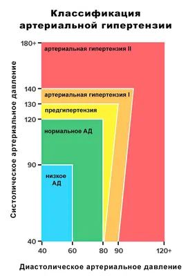 Почечная недостаточность и артериальная гипертензия: причины, симптомы и  способы лечения | Microlife