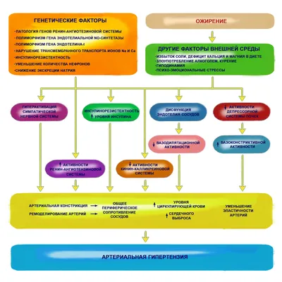 ГУЗ Дульдургинская ЦРБ | Артериальная гипертензия