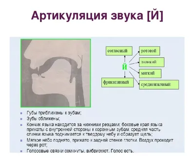 Звуки речи - классификация и графическая артикуляция